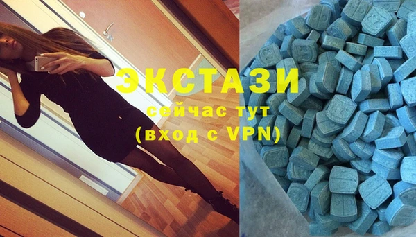PSILOCYBIN Аркадак